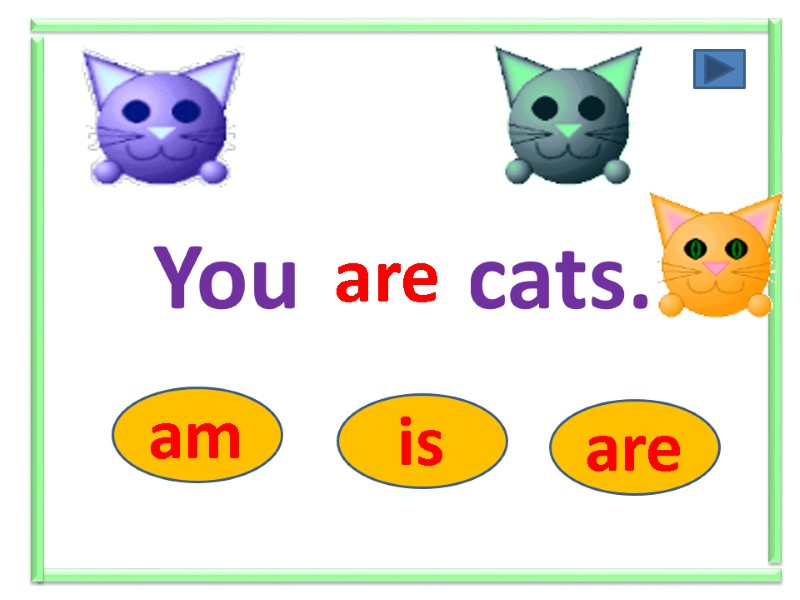 You ….. cats. am is are are